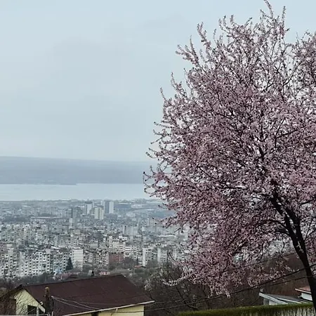 Infinity Sky Gæstehus