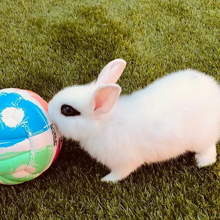 Infinity Sky Gæstehus Varna