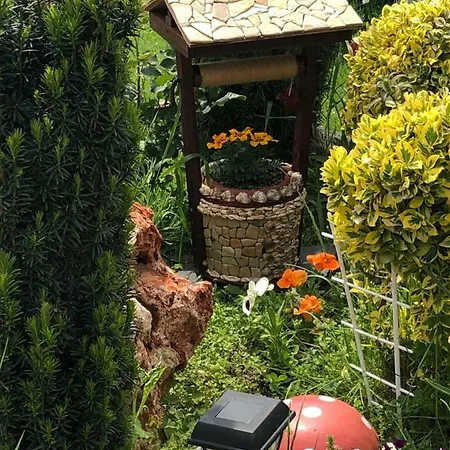 Infinity Sky * Varna