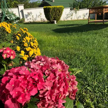 Gæstehus Infinity Sky