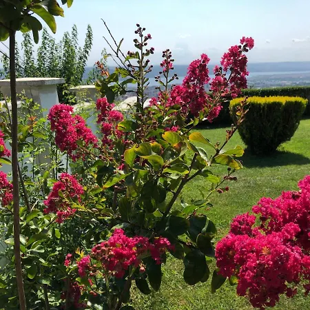 Gæstehus Infinity Sky *