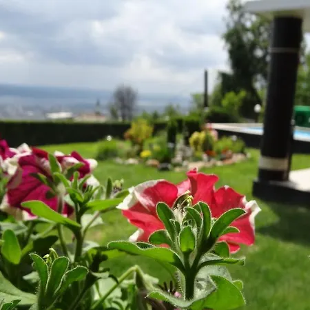 Infinity Sky Gæstehus Varna