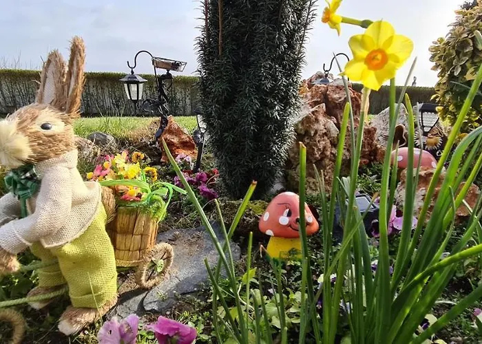 Infinity Sky Guest house