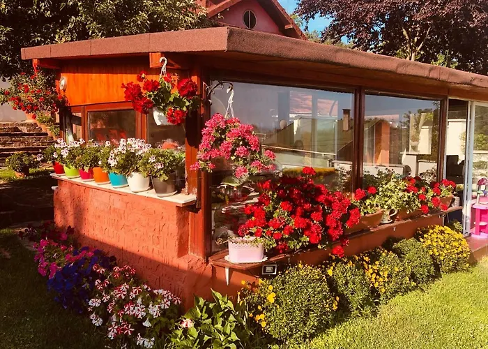 Infinity Sky Guest house