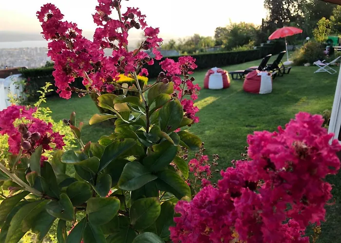 Infinity Sky Guest house