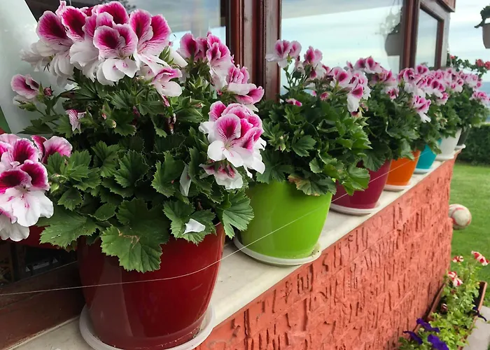 Guest house Infinity Sky Varna