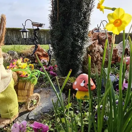 Infinity Sky 招待所