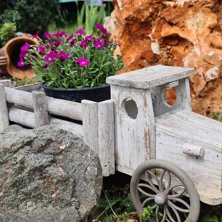 Infinity Sky 招待所 瓦爾納