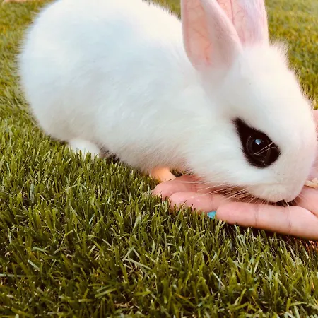 ゲストハウス Infinity Sky *