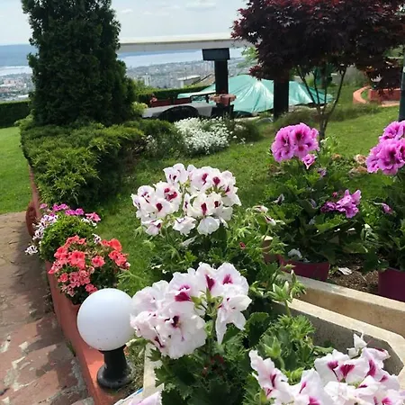 招待所 Infinity Sky *