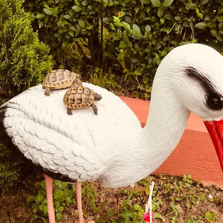 Infinity Sky * Βάρνα