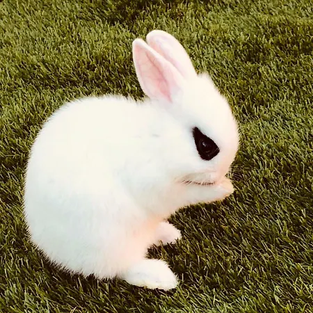 招待所 Infinity Sky 瓦爾納