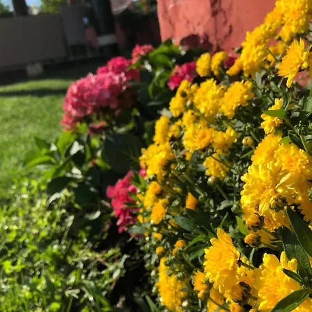 Infinity Sky ヴァルナ