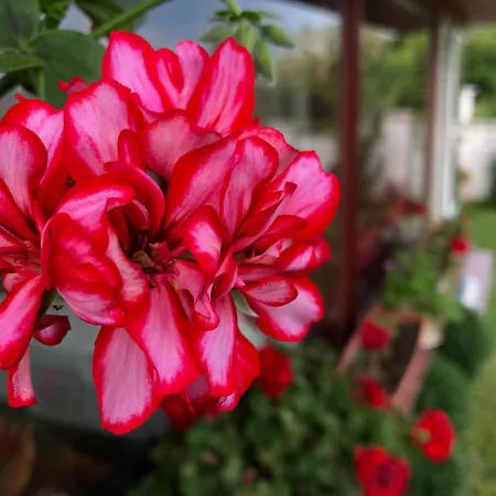 Infinity Sky Βάρνα