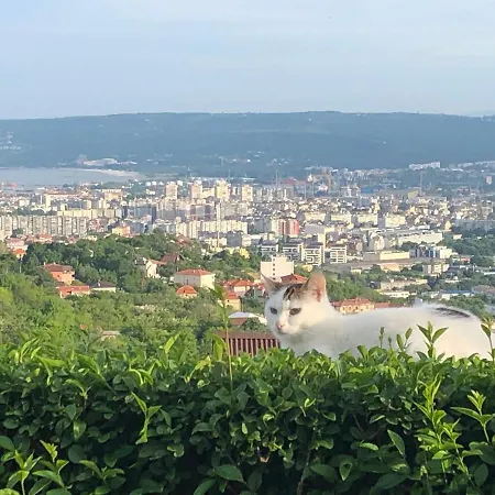 ゲストハウス Infinity Sky ヴァルナ