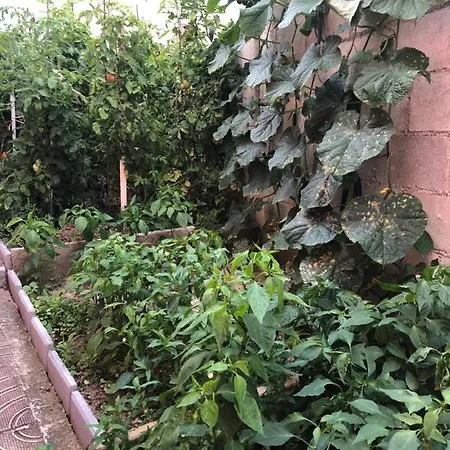 招待所 Infinity Sky *