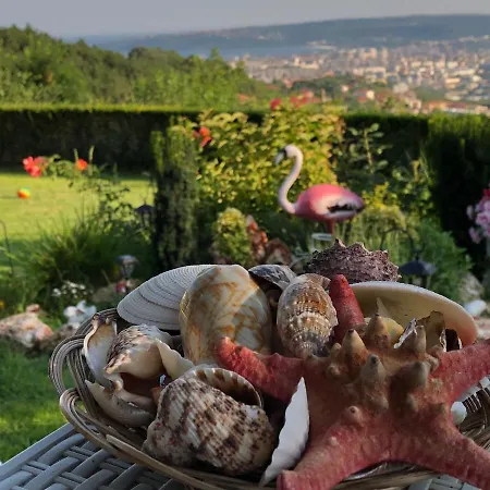 ゲストハウス Infinity Sky