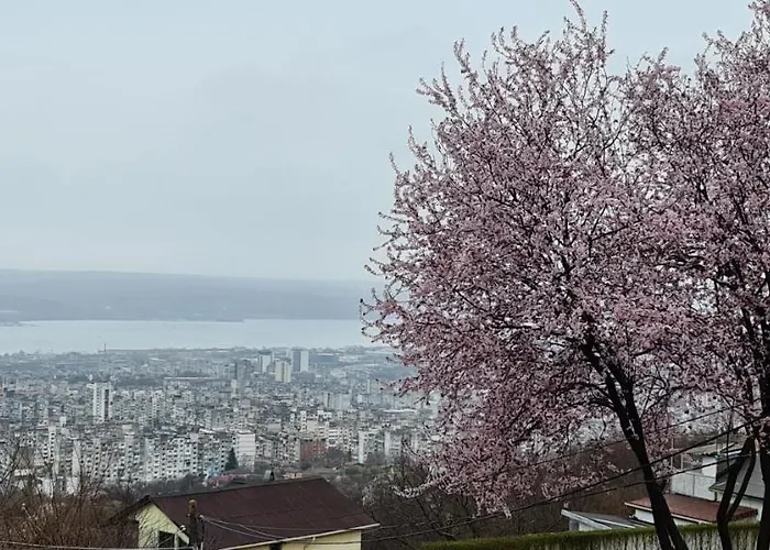 Infinity Sky Pensionat