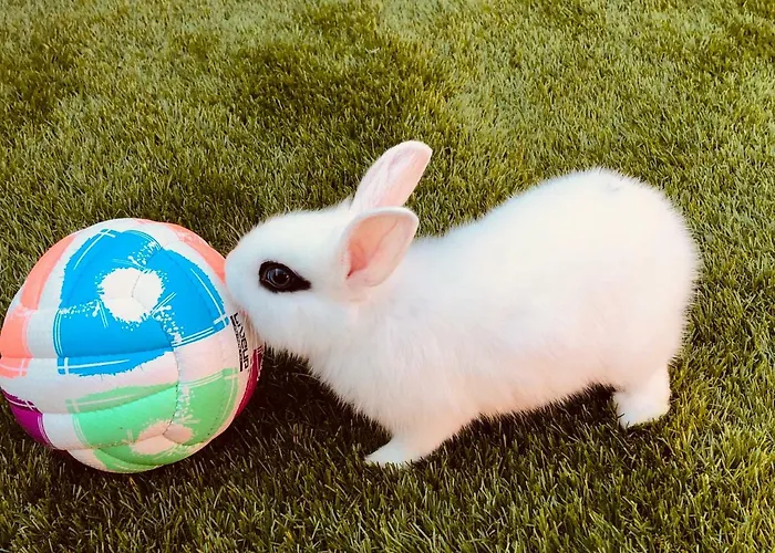 Infinity Sky ゲストハウス ヴァルナ