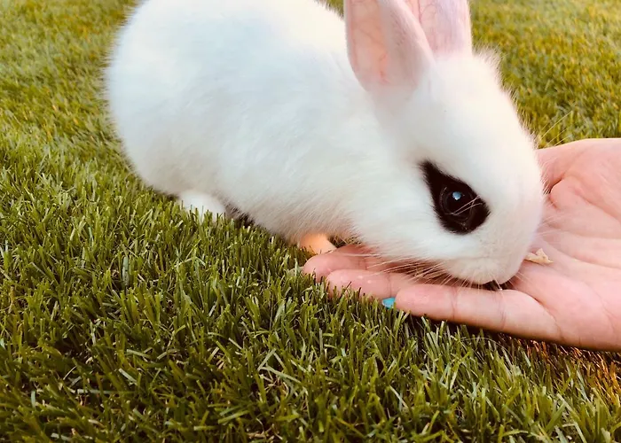 ゲストハウス Infinity Sky *