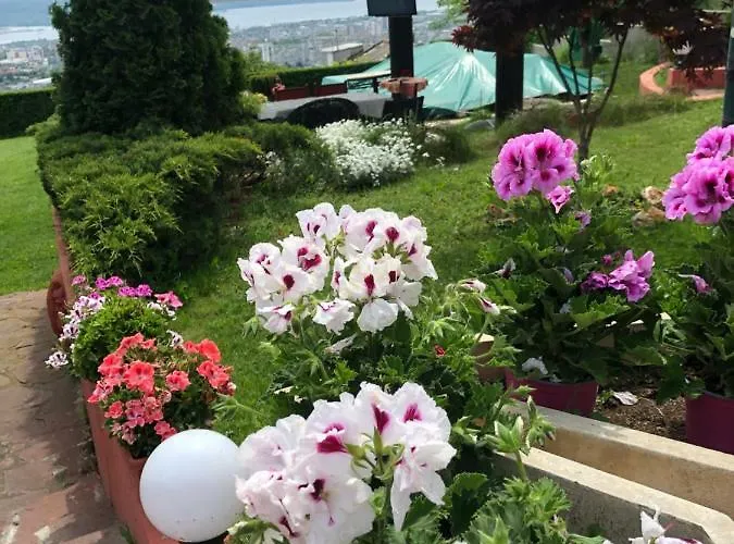 ゲストハウス Infinity Sky *