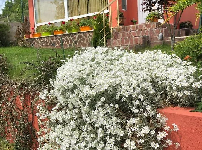 Infinity Sky * ヴァルナ