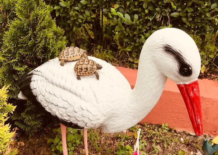 Infinity Sky * ヴァルナ