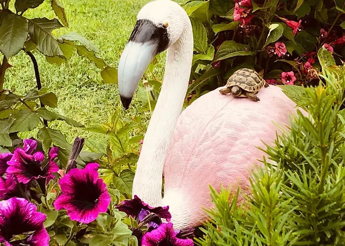 Pensionat Infinity Sky Varna