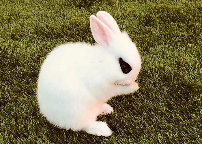 Pensionat Infinity Sky Varna