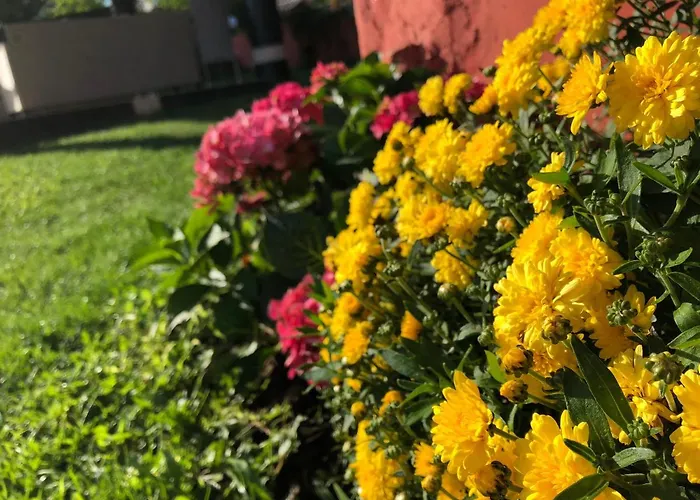 Infinity Sky ヴァルナ