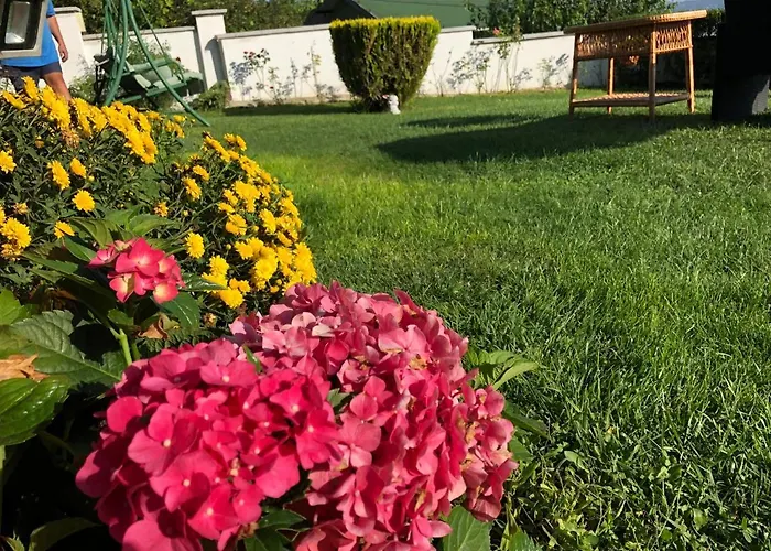 Pensionat Infinity Sky