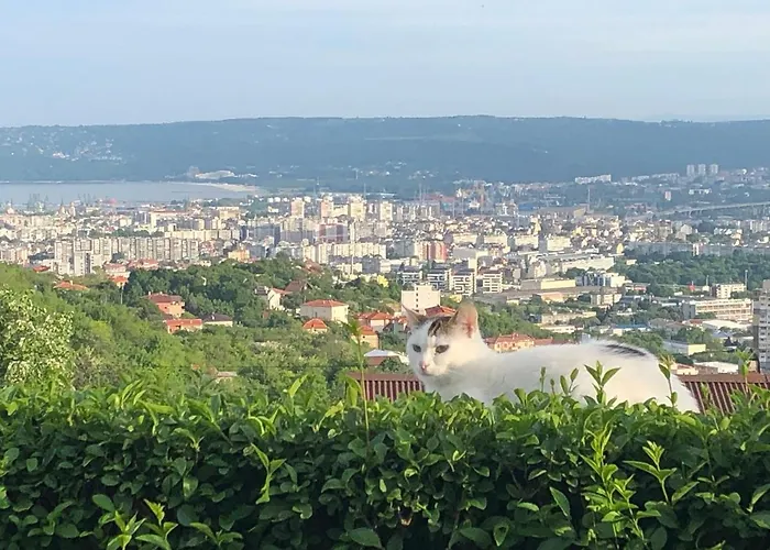 ゲストハウス Infinity Sky ヴァルナ