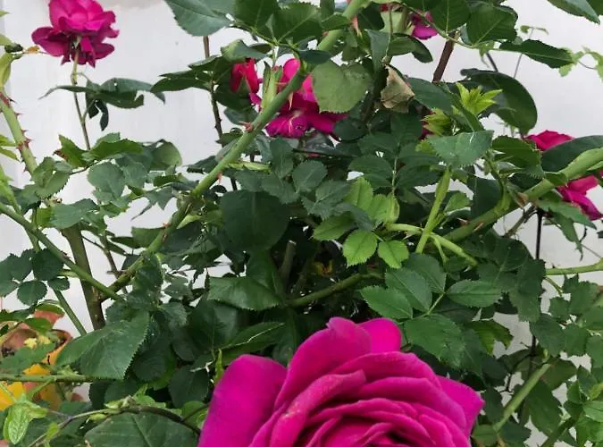 Infinity Sky Pensionat