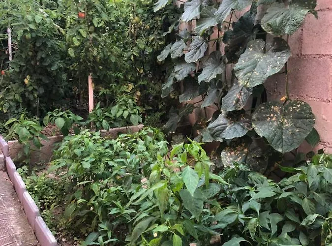 Pensionat Infinity Sky *